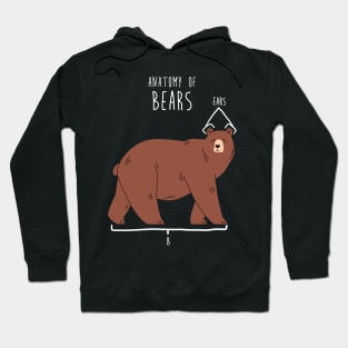 Bear Animal Anatomy Hoodie